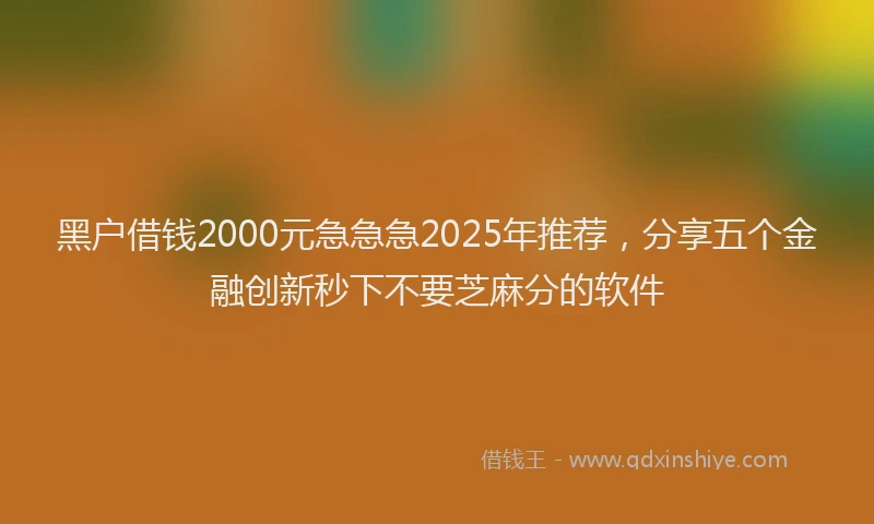 黑户借钱2000元急急急2025年推荐，分享五个金融创新秒下不要芝麻分的软件
