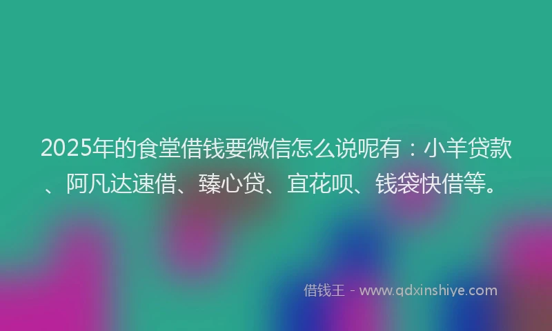 2025年的食堂借钱要微信怎么说呢有：小羊贷款、阿凡达速借、臻心贷、宜花呗、钱袋快借等。