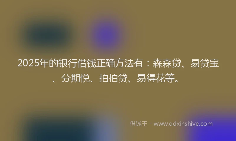 2025年的银行借钱正确方法有：森森贷、易贷宝、分期悦、拍拍贷、易得花等。