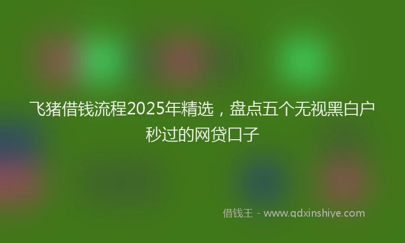 飞猪借钱流程2025年精选，盘点五个无视黑白户秒过的网贷口子
