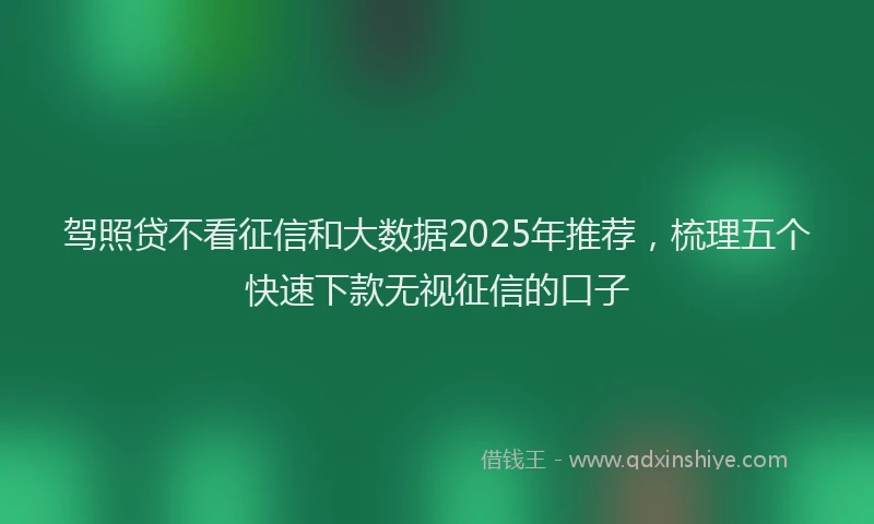 驾照贷不看征信和大数据2025年推荐，梳理五个快速下款无视征信的口子