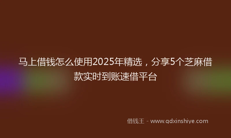 马上借钱怎么使用2025年精选，分享5个芝麻借款实时到账速借平台