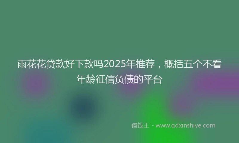 雨花花贷款好下款吗2025年推荐，概括五个不看年龄征信负债的平台