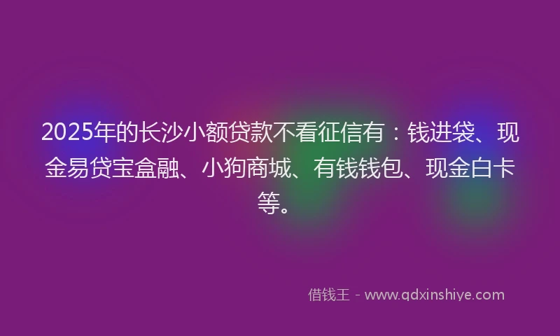 2025年的长沙小额贷款不看征信有：钱进袋、现金易贷宝盒融、小狗商城、有钱钱包、现金白卡等。