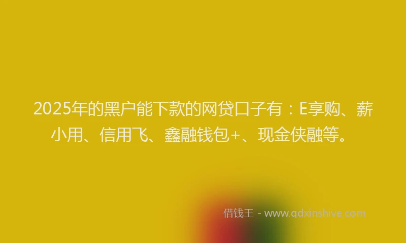 2025年的黑户能下款的网贷口子有：E享购、薪小用、信用飞、鑫融钱包+、现金侠融等。