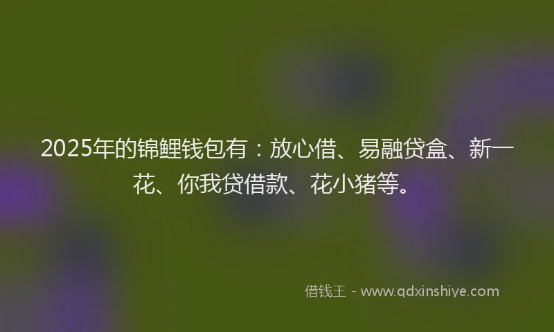 2025年的锦鲤钱包有：放心借、易融贷盒、新一花、你我贷借款、花小猪等。