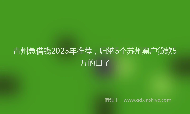青州急借钱2025年推荐，归纳5个苏州黑户贷款5万的口子