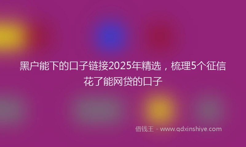 黑户能下的口子链接2025年精选，梳理5个征信花了能网贷的口子