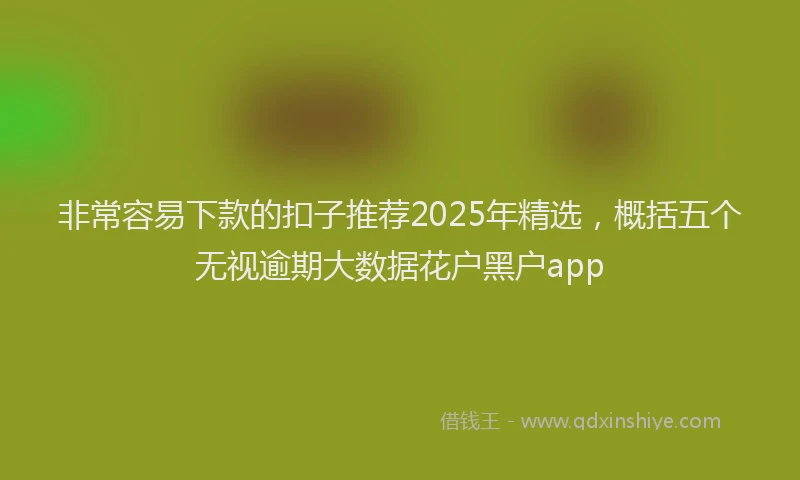 非常容易下款的扣子推荐2025年精选，概括五个无视逾期大数据花户黑户app