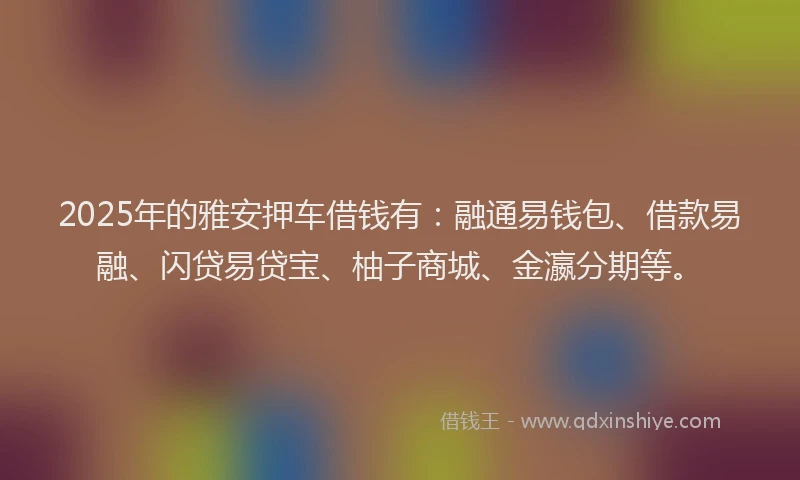 2025年的雅安押车借钱有：融通易钱包、借款易融、闪贷易贷宝、柚子商城、金瀛分期等。