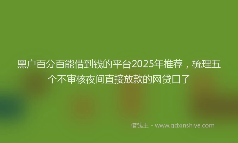 黑户百分百能借到钱的平台2025年推荐，梳理五个不审核夜间直接放款的网贷口子