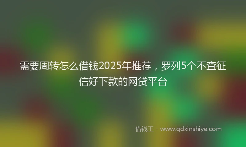 需要周转怎么借钱2025年推荐，罗列5个不查征信好下款的网贷平台