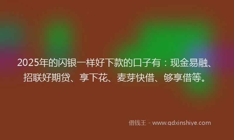 2025年的闪银一样好下款的口子有：现金易融、招联好期贷、享下花、麦芽快借、够享借等。
