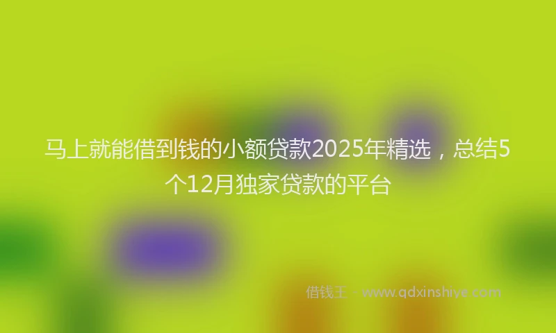 马上就能借到钱的小额贷款2025年精选，总结5个12月独家贷款的平台