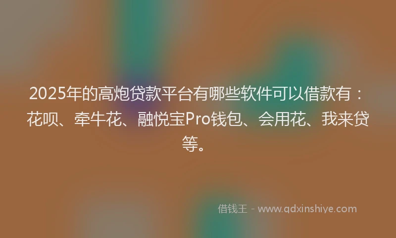 2025年的高炮贷款平台有哪些软件可以借款有：花呗、牵牛花、融悦宝Pro钱包、会用花、我来贷等。