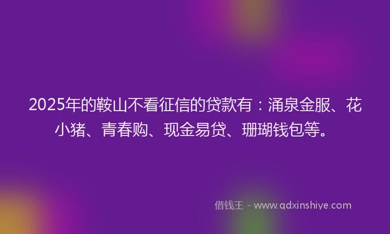 2025年的鞍山不看征信的贷款有：涌泉金服、花小猪、青春购、现金易贷、珊瑚钱包等。