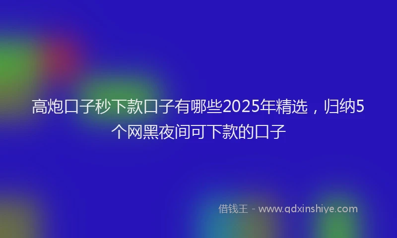 高炮口子秒下款口子有哪些2025年精选，归纳5个网黑夜间可下款的口子