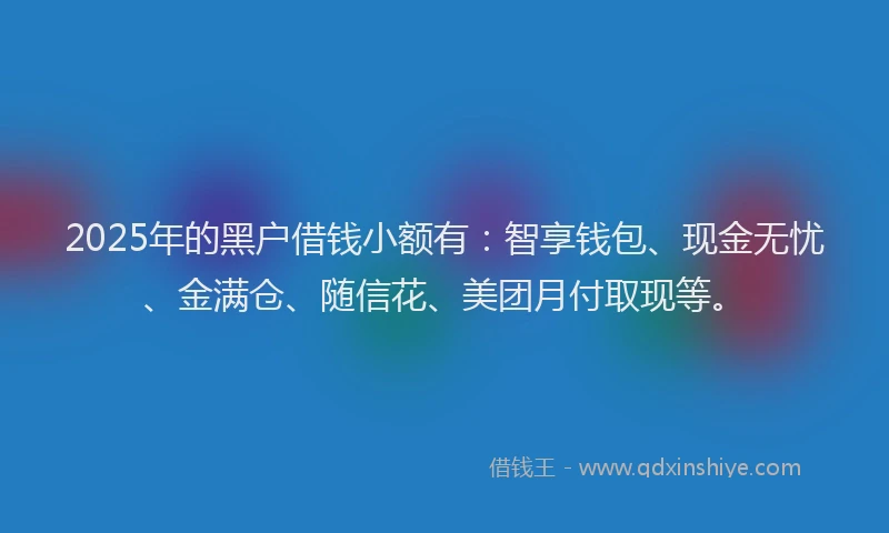 2025年的黑户借钱小额有：智享钱包、现金无忧、金满仓、随信花、美团月付取现等。