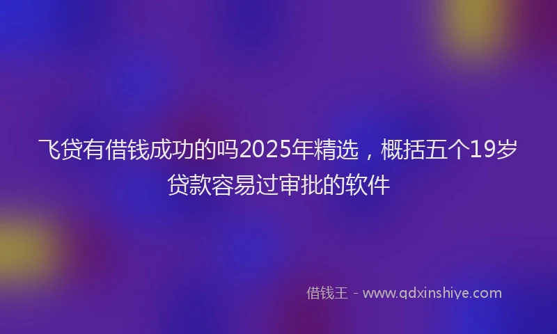 飞贷有借钱成功的吗2025年精选，概括五个19岁贷款容易过审批的软件