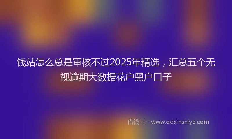 钱站怎么总是审核不过2025年精选，汇总五个无视逾期大数据花户黑户口子