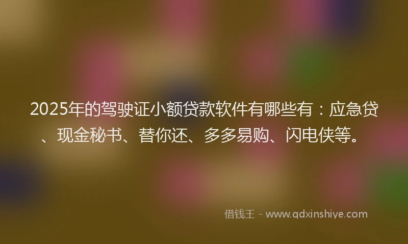 2025年的驾驶证小额贷款软件有哪些有：应急贷、现金秘书、替你还、多多易购、闪电侠等。