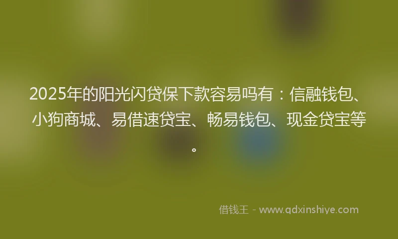 2025年的阳光闪贷保下款容易吗有：信融钱包、小狗商城、易借速贷宝、畅易钱包、现金贷宝等。
