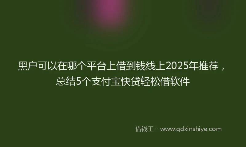 黑户可以在哪个平台上借到钱线上2025年推荐，总结5个支付宝快贷轻松借软件