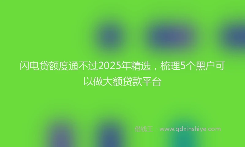 闪电贷额度通不过2025年精选，梳理5个黑户可以做大额贷款平台