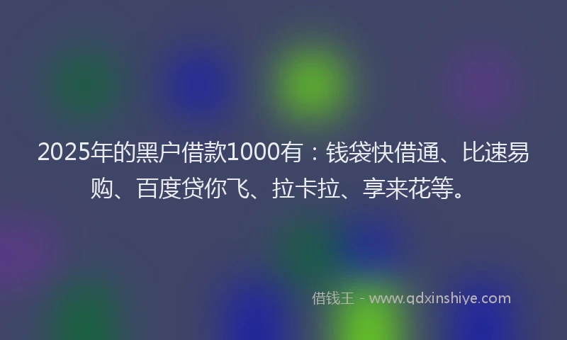 2025年的黑户借款1000有：钱袋快借通、比速易购、百度贷你飞、拉卡拉、享来花等。