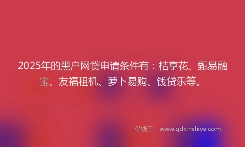 2025年的黑户网贷申请条件有：桔享花、甄易融宝、友福租机、萝卜易购、钱贷乐等。