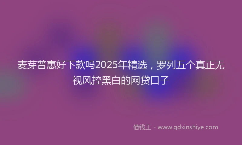 麦芽普惠好下款吗2025年精选，罗列五个真正无视风控黑白的网贷口子