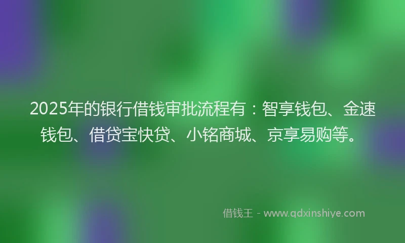 2025年的银行借钱审批流程有：智享钱包、金速钱包、借贷宝快贷、小铭商城、京享易购等。