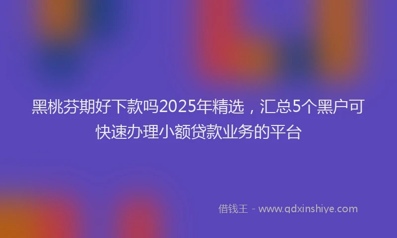 黑桃芬期好下款吗2025年精选，汇总5个黑户可快速办理小额贷款业务的平台