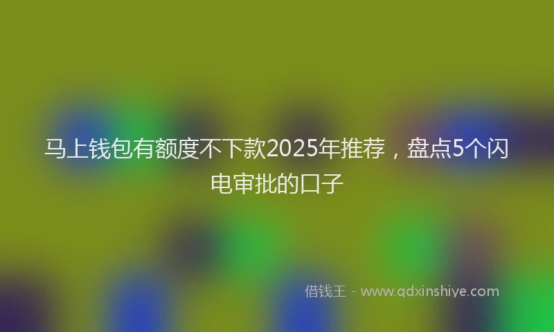 马上钱包有额度不下款2025年推荐，盘点5个闪电审批的口子