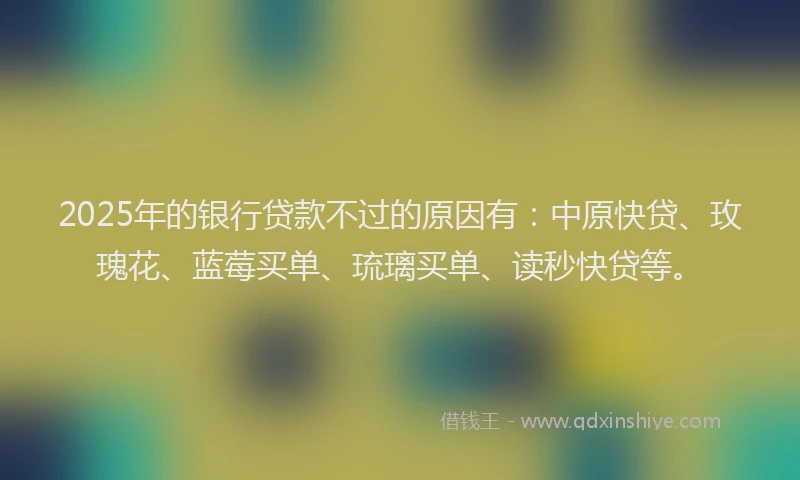 2025年的银行贷款不过的原因有：中原快贷、玫瑰花、蓝莓买单、琉璃买单、读秒快贷等。