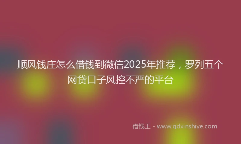 顺风钱庄怎么借钱到微信2025年推荐，罗列五个网贷口子风控不严的平台