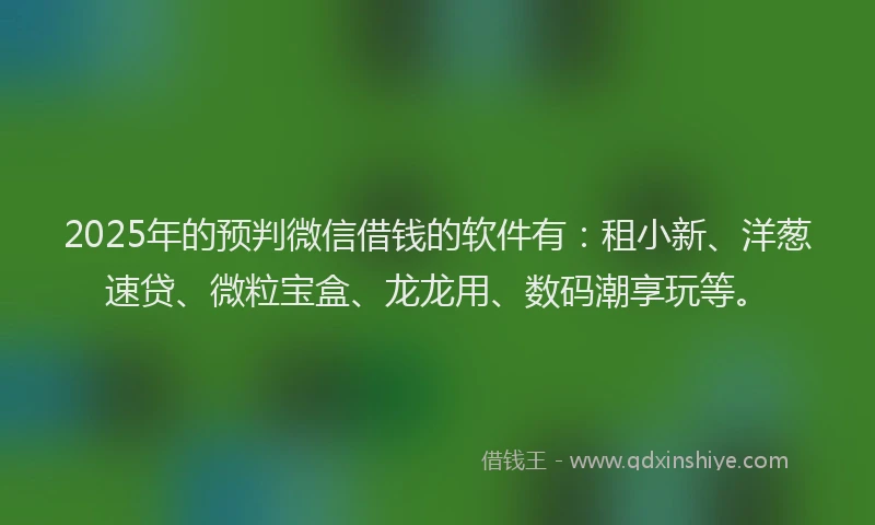 2025年的预判微信借钱的软件有：租小新、洋葱速贷、微粒宝盒、龙龙用、数码潮享玩等。