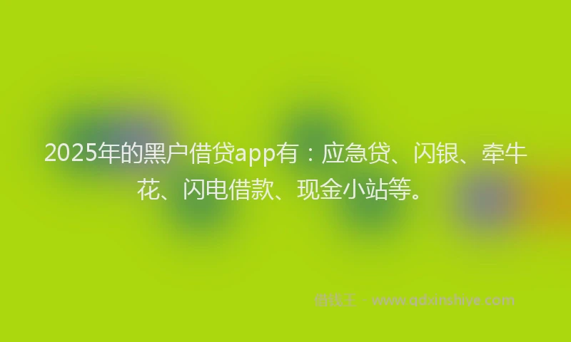 2025年的黑户借贷app有：应急贷、闪银、牵牛花、闪电借款、现金小站等。