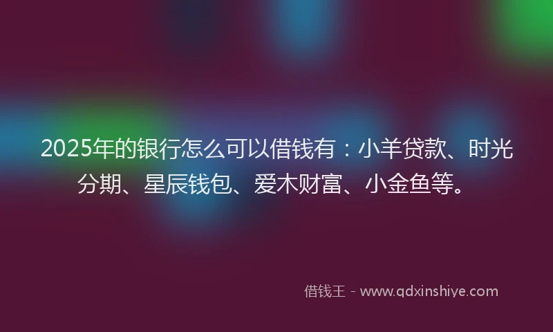 2025年的银行怎么可以借钱有：小羊贷款、时光分期、星辰钱包、爱木财富、小金鱼等。