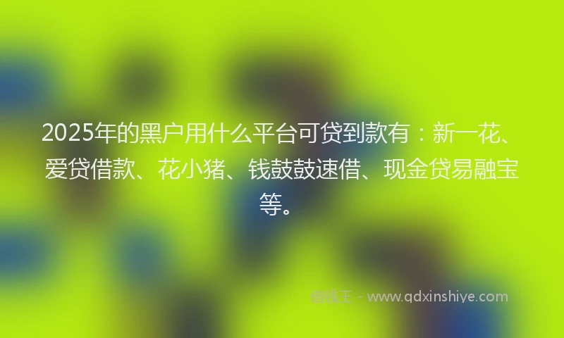 2025年的黑户用什么平台可贷到款有：新一花、爱贷借款、花小猪、钱鼓鼓速借、现金贷易融宝等。