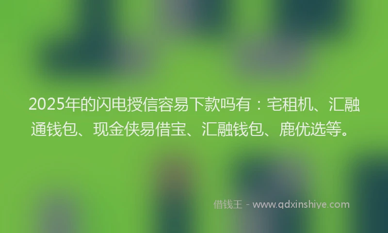 2025年的闪电授信容易下款吗有：宅租机、汇融通钱包、现金侠易借宝、汇融钱包、鹿优选等。