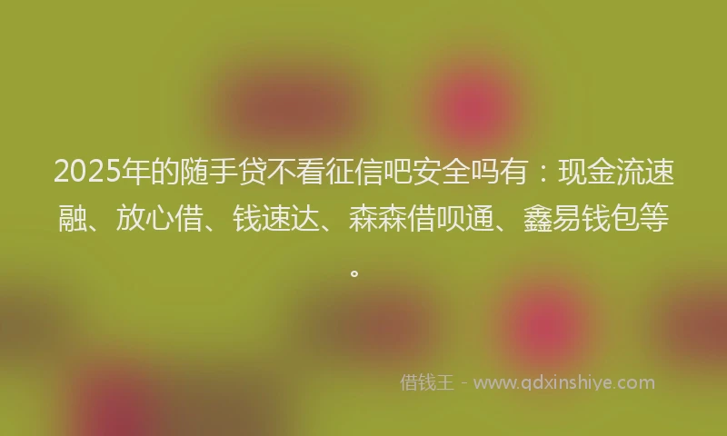 2025年的随手贷不看征信吧安全吗有：现金流速融、放心借、钱速达、森森借呗通、鑫易钱包等。