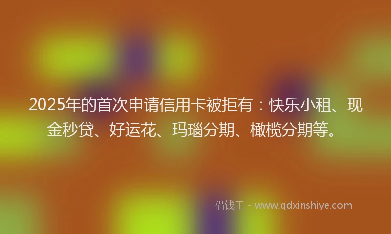 2025年的首次申请信用卡被拒有：快乐小租、现金秒贷、好运花、玛瑙分期、橄榄分期等。