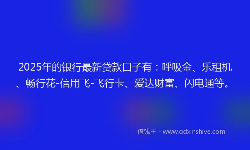 2025年的银行最新贷款口子有：呼吸金、乐租机、畅行花-信用飞-飞行卡、爱达财富、闪电通等。