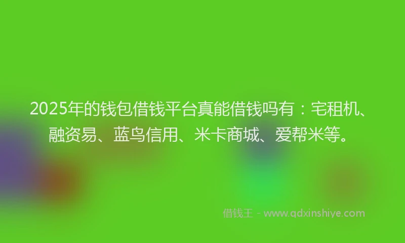 2025年的钱包借钱平台真能借钱吗有：宅租机、融资易、蓝鸟信用、米卡商城、爱帮米等。