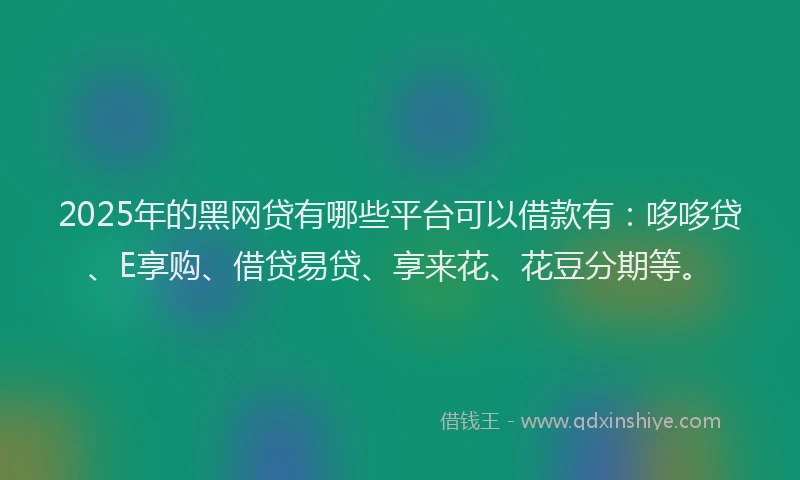 2025年的黑网贷有哪些平台可以借款有：哆哆贷、E享购、借贷易贷、享来花、花豆分期等。