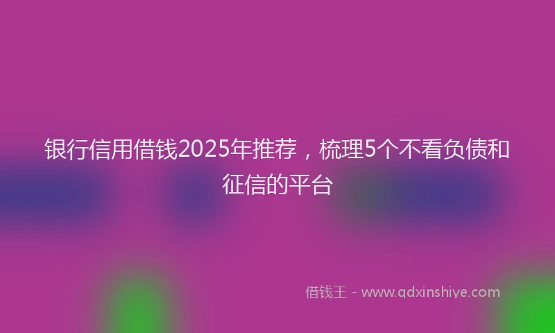 银行信用借钱2025年推荐，梳理5个不看负债和征信的平台