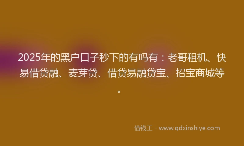 2025年的黑户口子秒下的有吗有：老哥租机、快易借贷融、麦芽贷、借贷易融贷宝、招宝商城等。