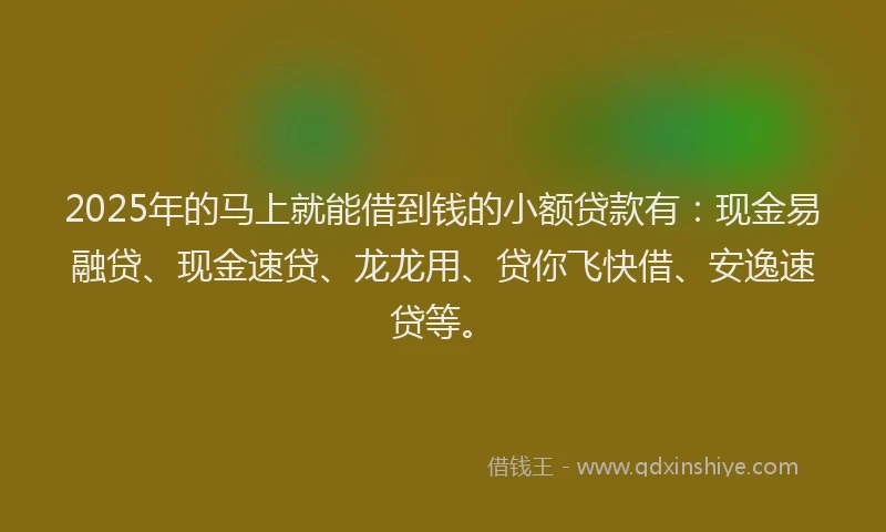 2025年的马上就能借到钱的小额贷款有：现金易融贷、现金速贷、龙龙用、贷你飞快借、安逸速贷等。
