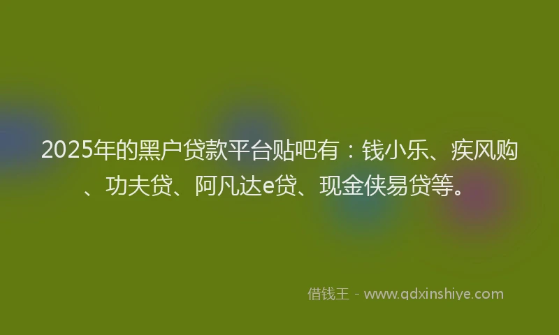 2025年的黑户贷款平台贴吧有：钱小乐、疾风购、功夫贷、阿凡达e贷、现金侠易贷等。